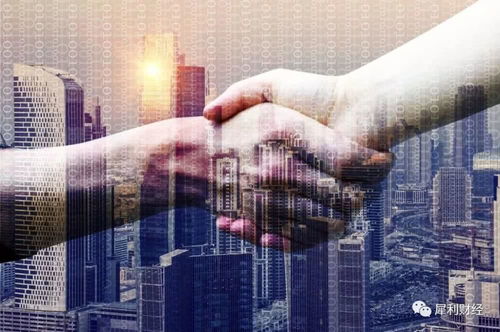 大漲31 ,優(yōu)信 合謀 淘寶的背后邏輯